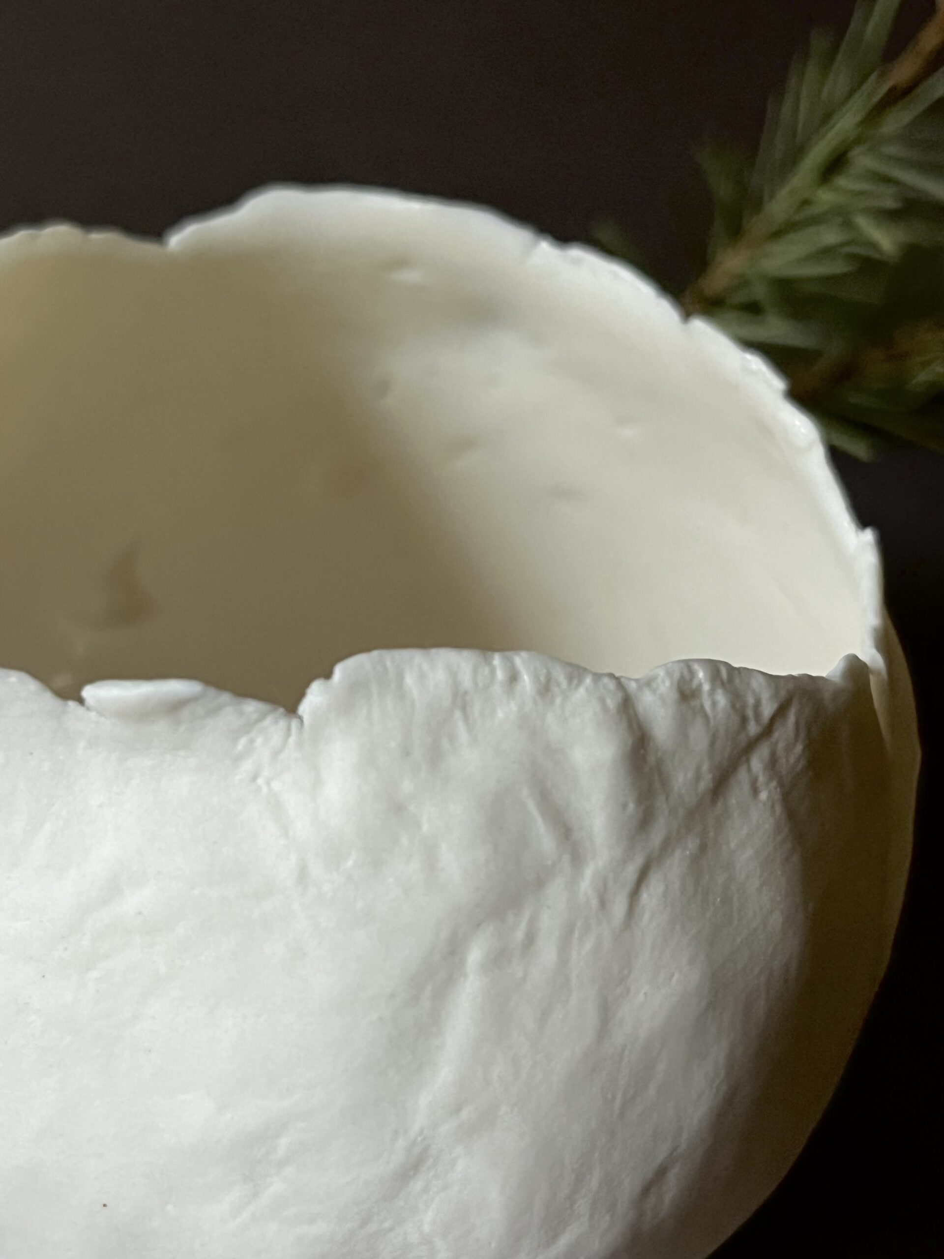 Gros plan sur le bord déchiré d'un photophore Éclosion en porcelaine papier, branche de pin