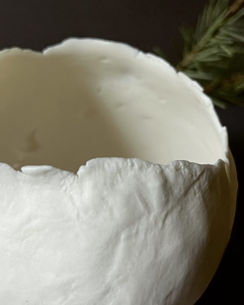 Gros plan sur le bord déchiré d'un photophore Éclosion en porcelaine papier, branche de pin